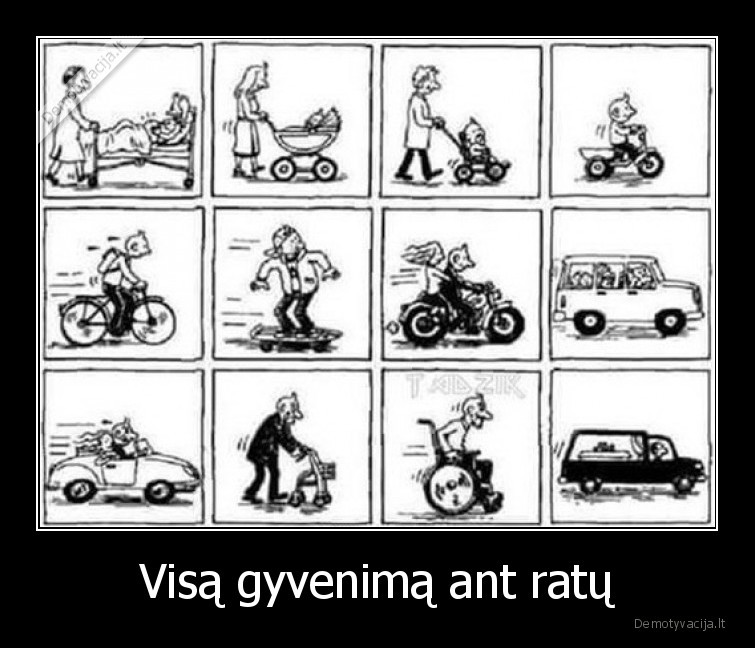 ratai,ant,gyvenimas