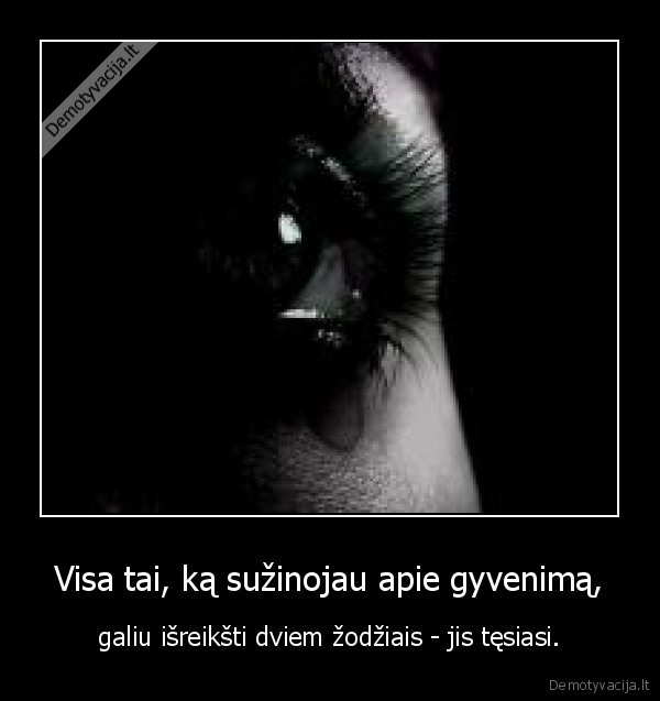 Visa tai, ką sužinojau apie gyvenimą,