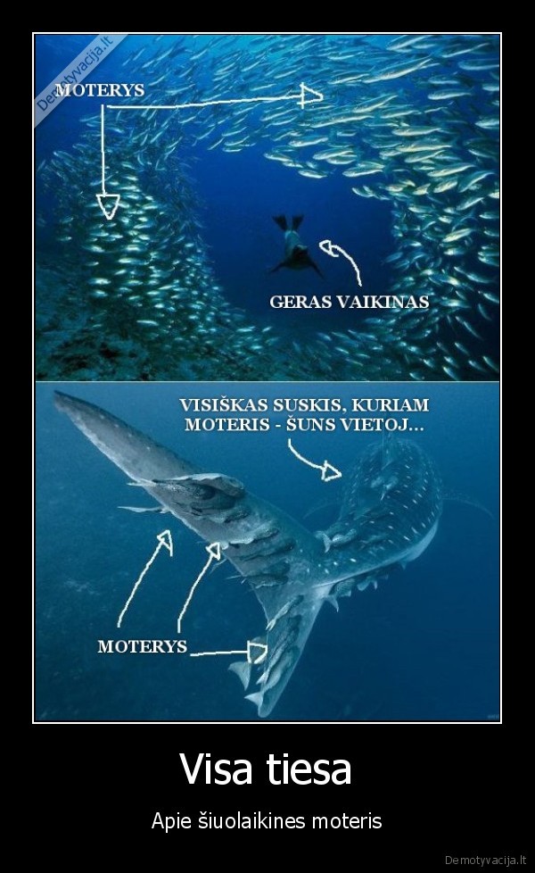 moterys, megsta, siknius,geras, vaikinas