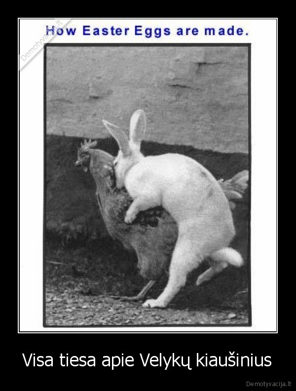 tiesa,apie,velyku,kiausinius,kiausiniai,velykos,vista,zuikis