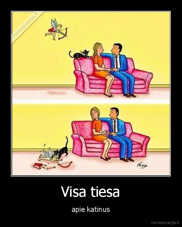 katinas,meile,trukdo