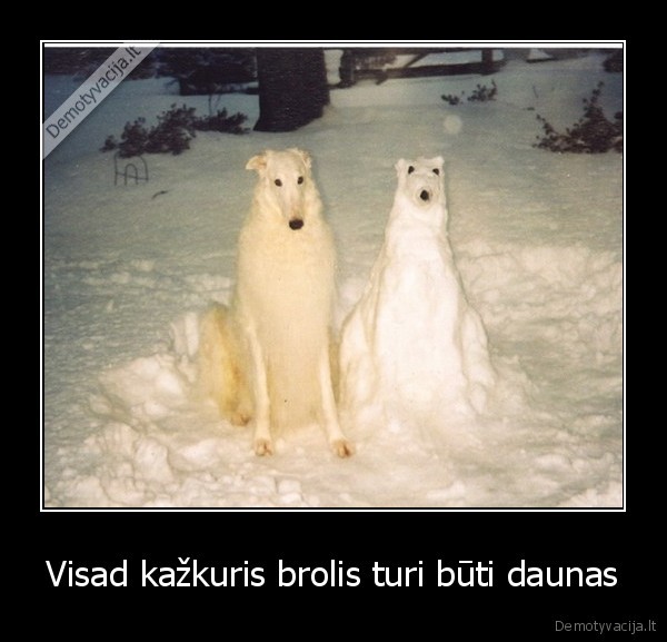 Visad kažkuris brolis turi būti daunas