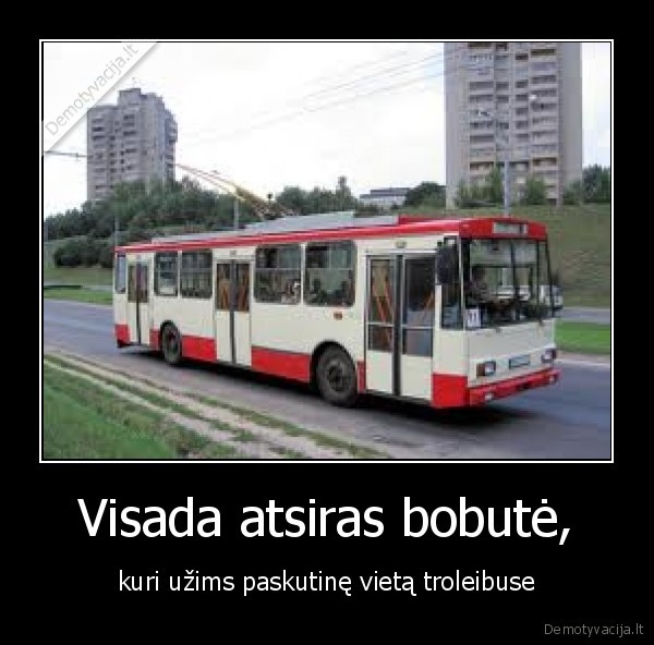 troleibusai,autobusai,taksistai, sustauskai,pedo, bear