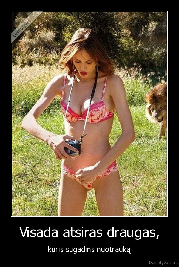 draugas,nuotrauka,liutas,sugadinta, nuotrauka,sugadintas, kadras