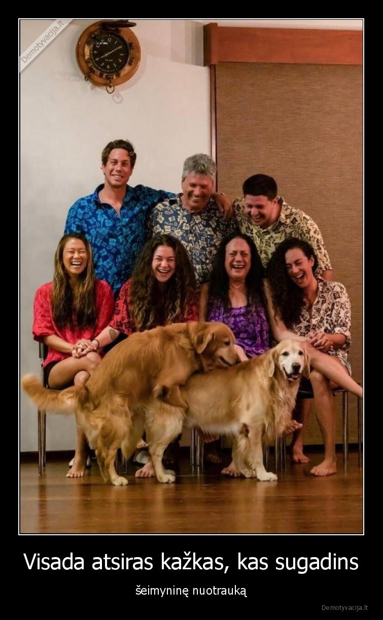 seimynine,nuotrauka,sunys