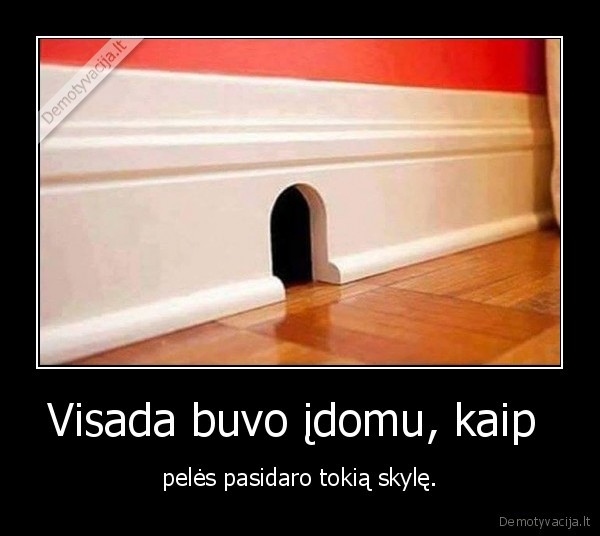 pele,namo, skyle,idomu