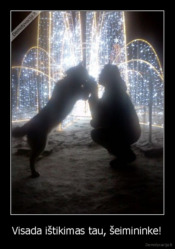 suo,istikimybe,seimininkas