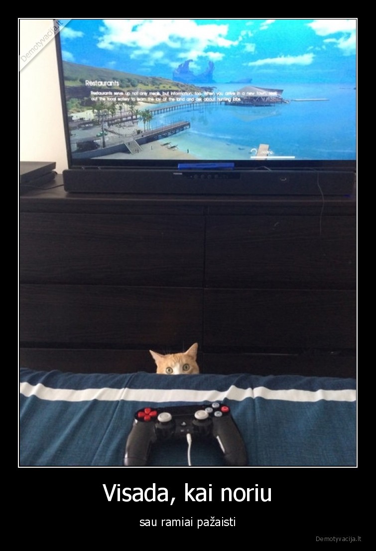 katinas,neduoda,zaisti
