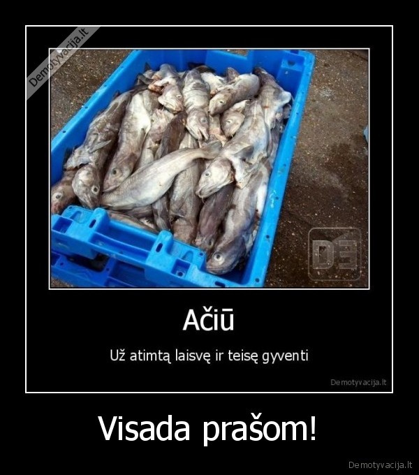 matosi,kad, nezvejojai, niekad