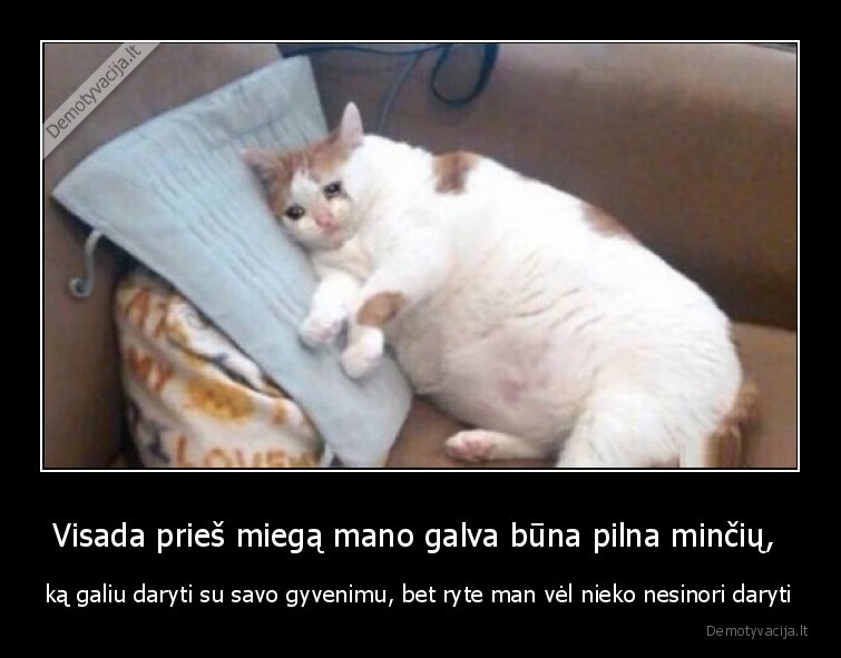 motyvacija,gyvenimas,rytas,vakaras