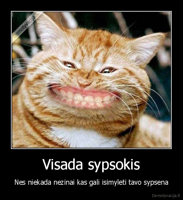 sypsena,meile,juokas,prunskiene