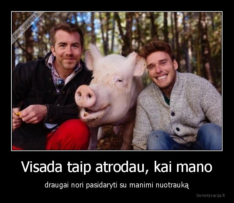 nuotrauka,fotogeniskas,kiaule,draugas