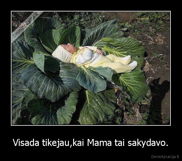 Visada tikejau,kai Mama tai sakydavo.