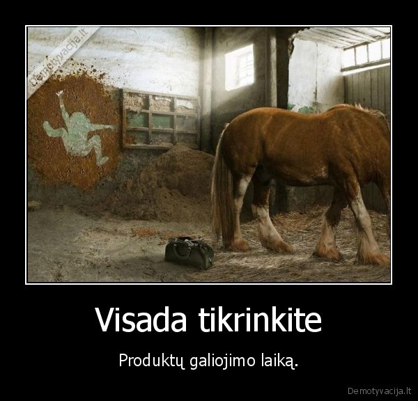 galiojimas,produktas