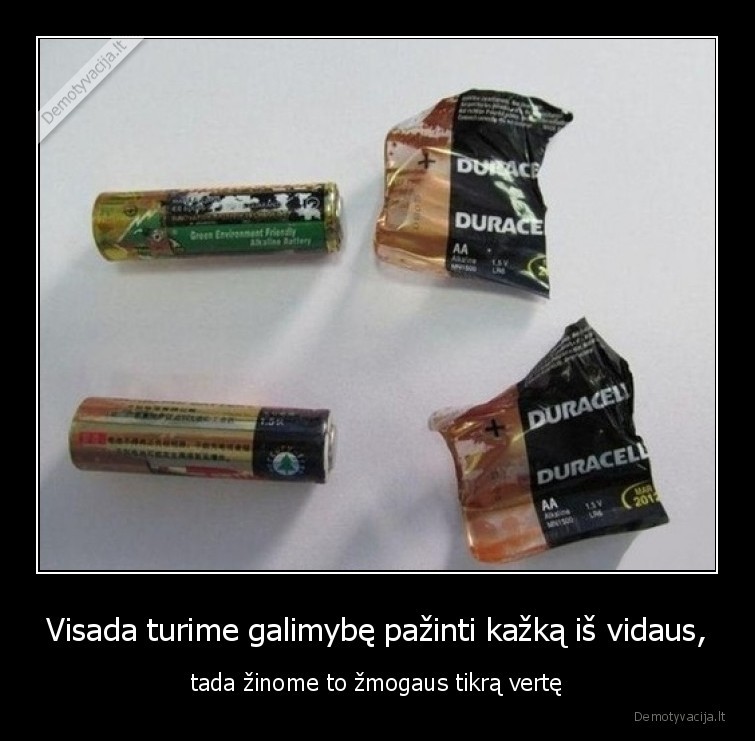 verte,pazinti,is,vidaus,batarkes