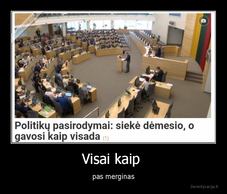 seimas,merginos,demesys