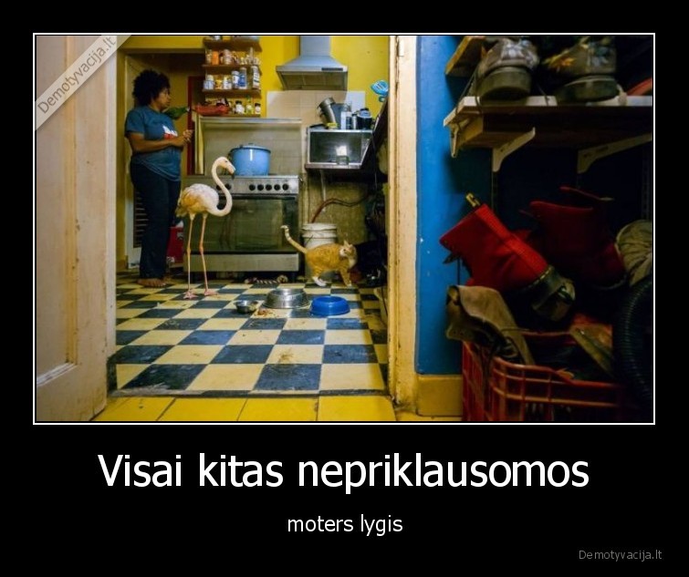 nepriklausoma,moteris,lygis