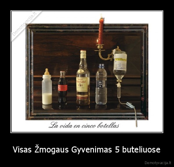 Visas Žmogaus Gyvenimas 5 buteliuose