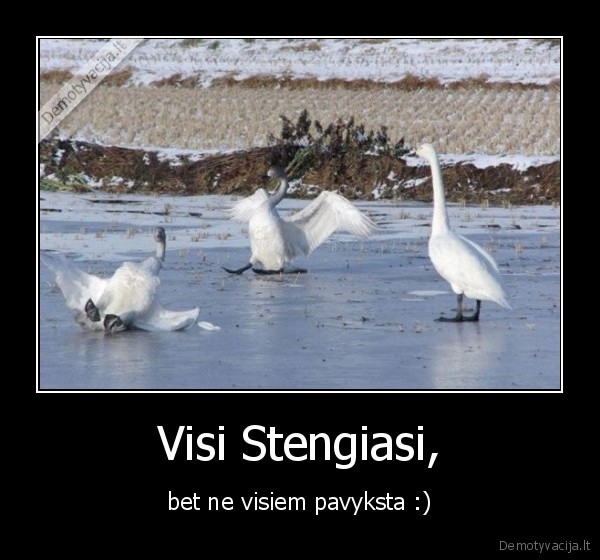 Visi Stengiasi,