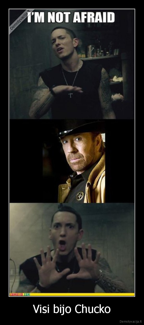 chuckasdabar, tau, bus, pyyze