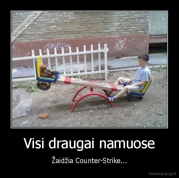 draugai,namuose,vienisas