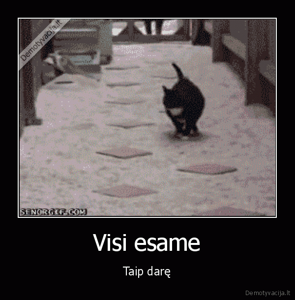 zeme, lava,karsta, zeme,juokingas, katinas