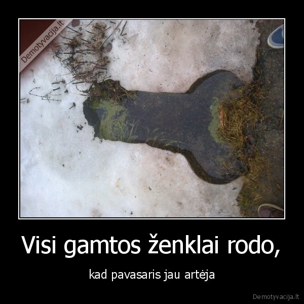 Visi gamtos ženklai rodo,