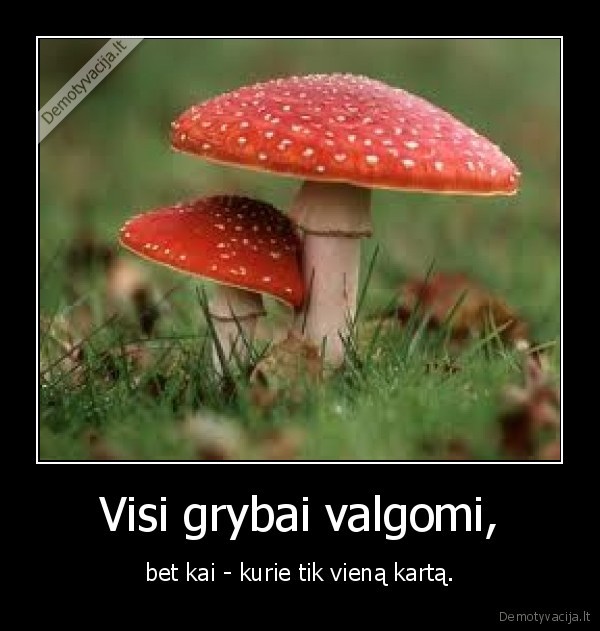 Visi grybai valgomi,