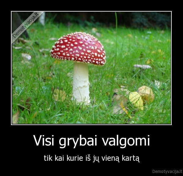 grybai,valgomi,musmire