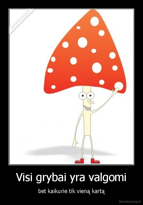 Visi grybai yra valgomi