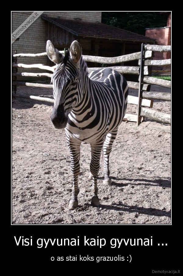 Visi gyvunai kaip gyvunai ...