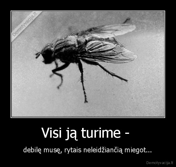 muse, kale,debile, muse,muse, debile,debile, muse, neleidzia, miegoti,visi, turime