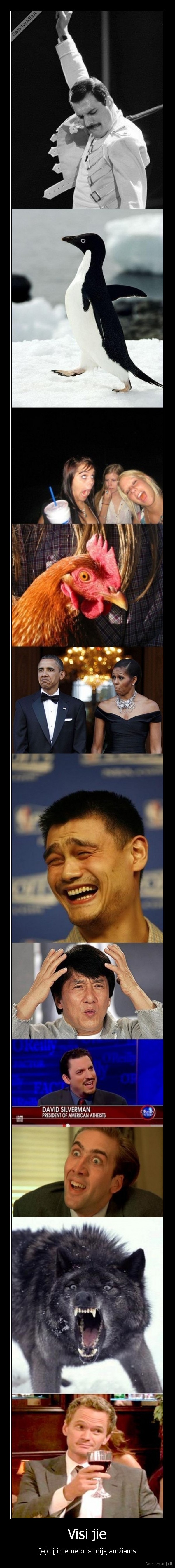 meme, face, jackie, chan, freddie, mercury, socialy, awkward, penguin, true, story