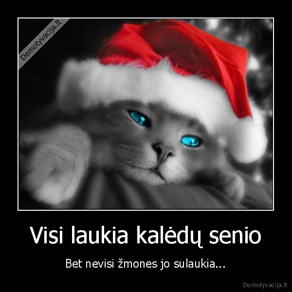 Visi laukia kalėdų senio