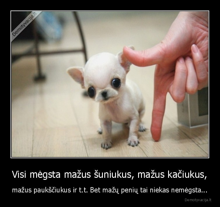 mazas, penis,mazi, daiktai