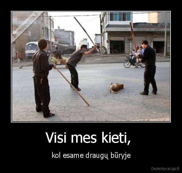 palaukit, kinai, ateis, ir, pas, jus, cunamis