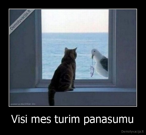 Visi mes turim panasumu