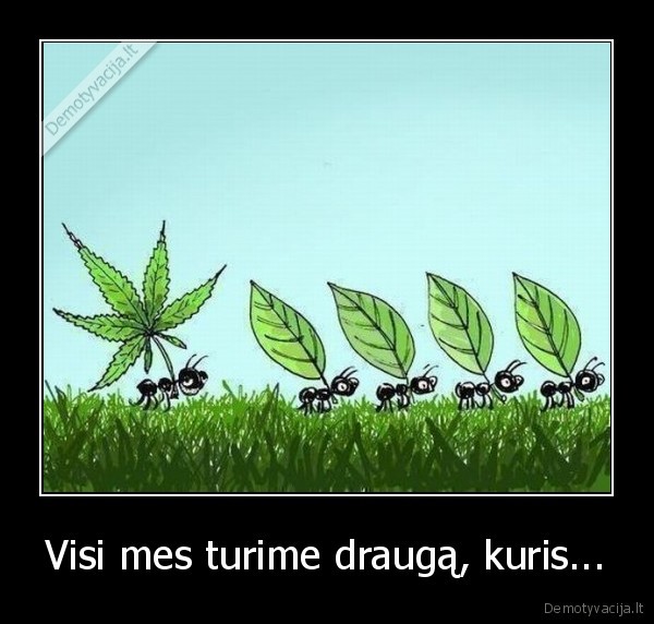 Visi mes turime draugą, kuris...