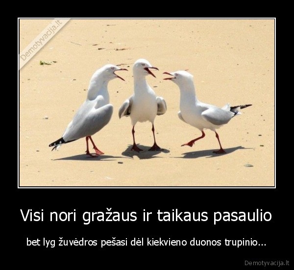 nemastantis, zmogus, niekada, netobules