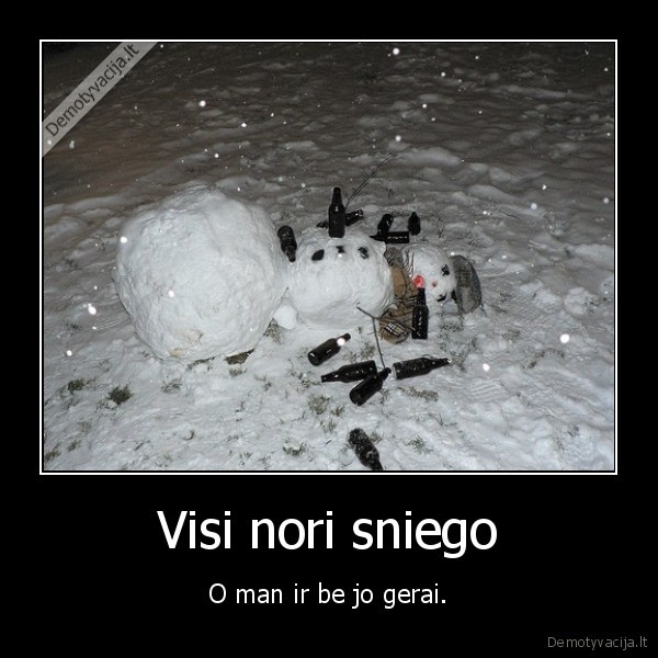 sniegas,orai,lietuva