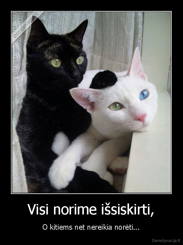 Visi norime išsiskirti,