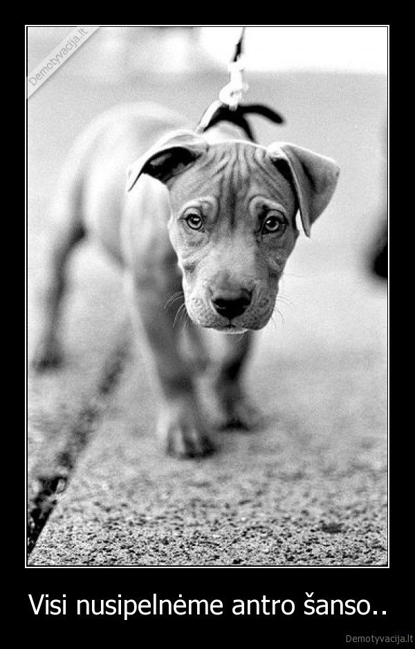 Visi nusipelnėme antro šanso..