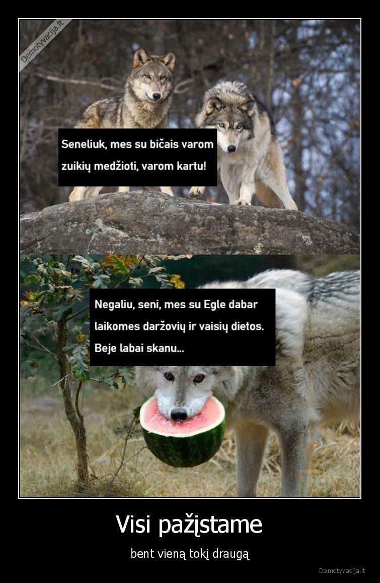 draugas,vilkas,po, padu