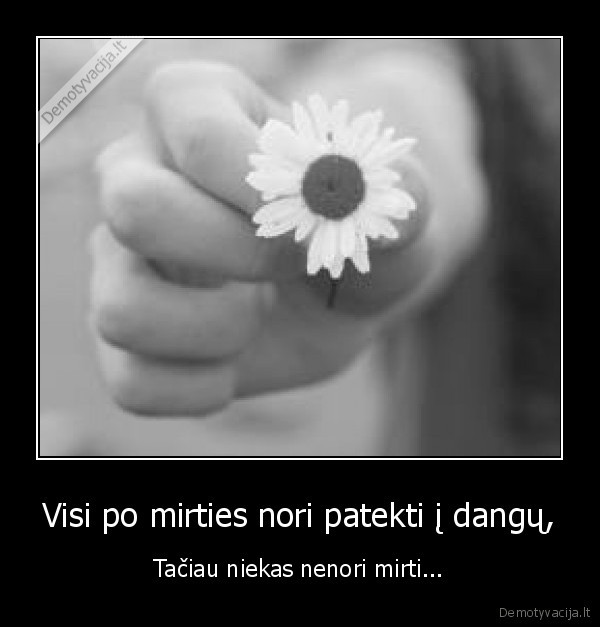 Visi po mirties nori patekti į dangų,