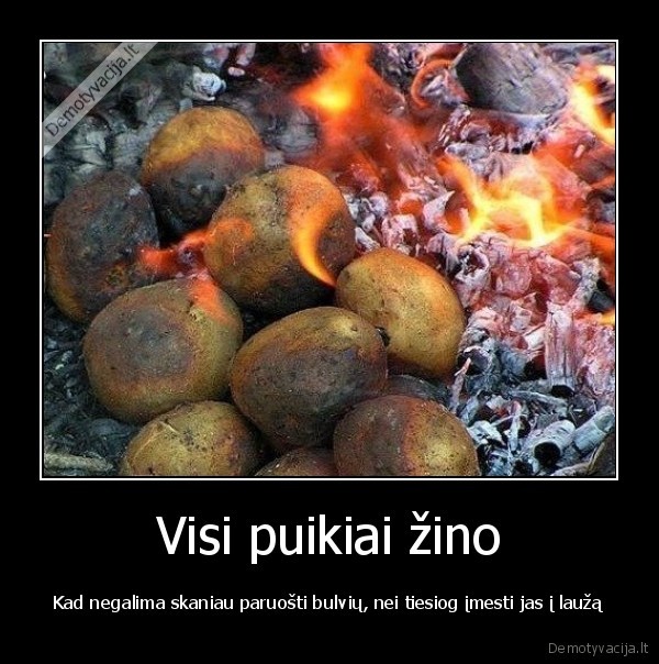 bulviu, patiekalas,bulves, ant, lauzo