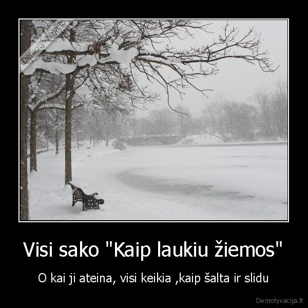 Visi sako &quot;Kaip laukiu žiemos&quot;