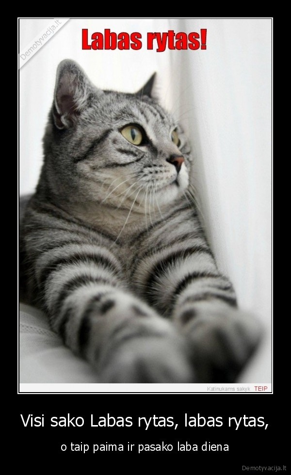 Visi sako Labas rytas, labas rytas,