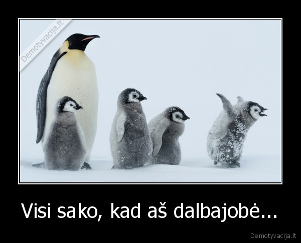 Visi sako, kad aš dalbajobė...