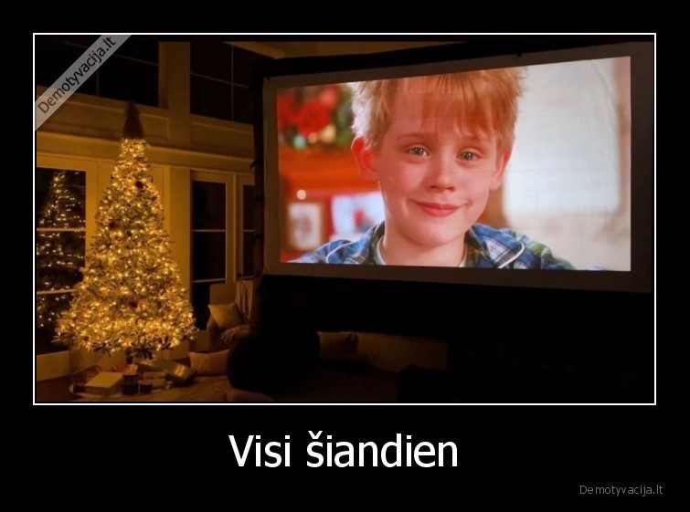 vienas, namuose,kaledos