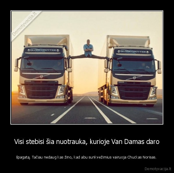 chuck, norris,faktai,van, damas